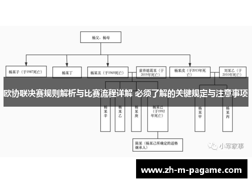 欧协联决赛规则解析与比赛流程详解 必须了解的关键规定与注意事项