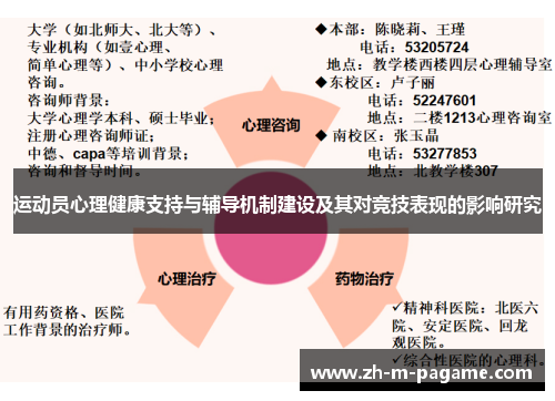 运动员心理健康支持与辅导机制建设及其对竞技表现的影响研究