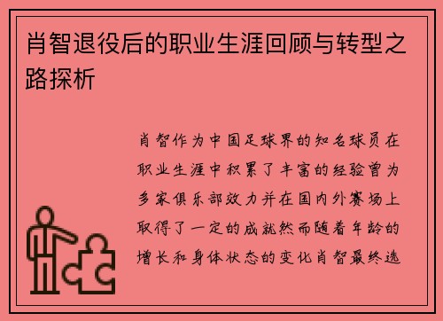 肖智退役后的职业生涯回顾与转型之路探析