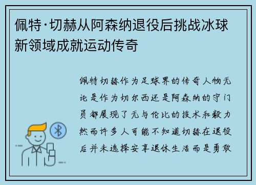 佩特·切赫从阿森纳退役后挑战冰球新领域成就运动传奇